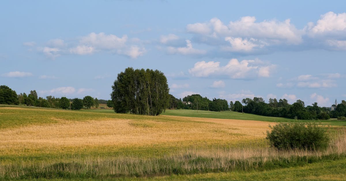 Zanim wjedzie koparka: kompletny plan przygotowania działki pod budowę domu