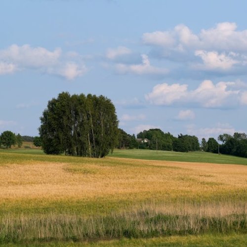 Zanim wjedzie koparka: kompletny plan przygotowania działki pod budowę domu
