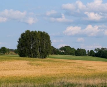 Zanim wjedzie koparka: kompletny plan przygotowania działki pod budowę domu