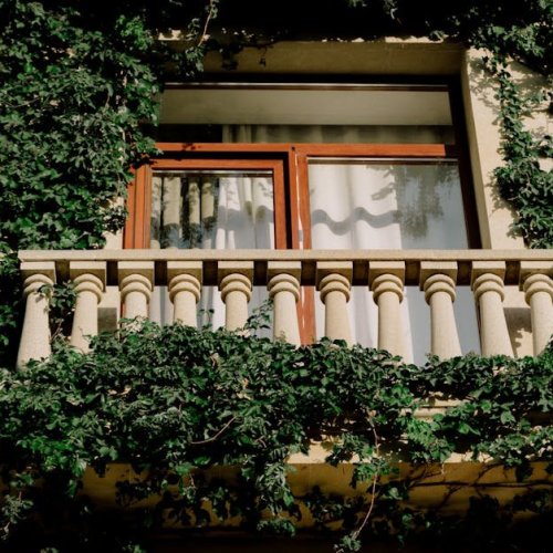 Balkon w dżungli: krok po kroku do własnej zielonej ściany
