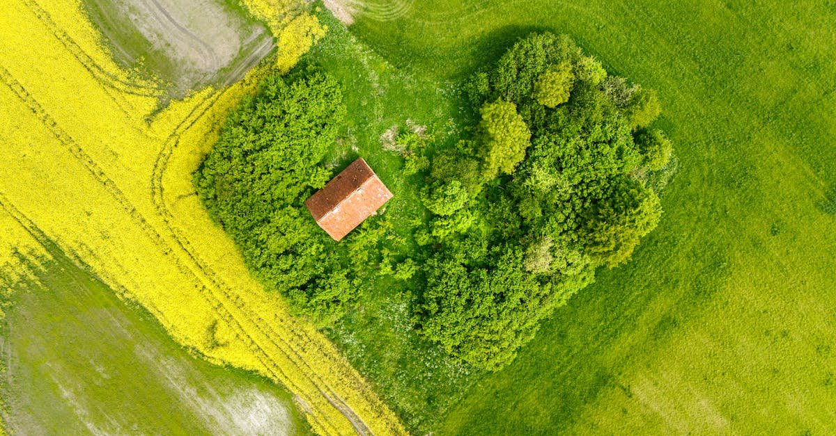 Twoja działka, Twoje zasady: sprzedaj ją samodzielnie krok po kroku i zyskaj więcej